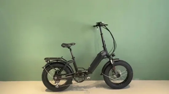 Fat Tire 500W Max Customized Motor 7 Speed Digital Smart E